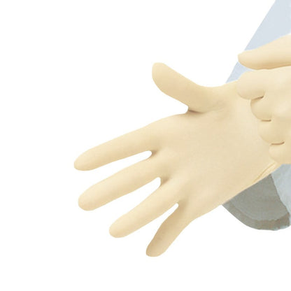 Peha-soft - Powder-free Latex Gloves Size L
